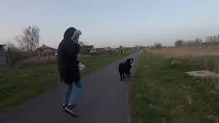 Stromer ST1 2021 - It's dog day! :)