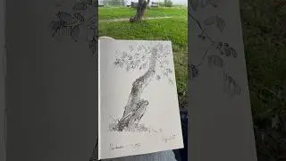 #drawing #sketching #sketchbook #inkdrawing #inkpen #sketch #sketchart #painting #pleinair #art
