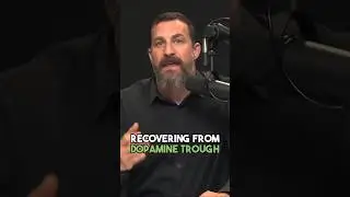 How To Quickly Recover From Low Dopamine State | Andrew Huberman