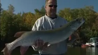 Bob Mehsikomer 's Simply Fishing & Nathan Hit GIANT Muskie on Vermilion