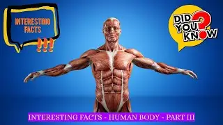 Interesting Facts - Human Body -  PART III | #bagga | #baggacreativity | #human | #humanbodyfacts |
