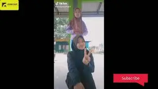 Best Cat Fail Compilation 2021 | Try Not To Laugh | part 1