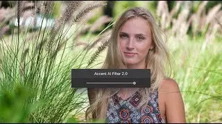 Meet ACCENT AI 2.0 with facial and object recognition technology | LUMINAR 3.1.0 AVAILABLE NOW
