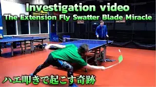 検証動画: Investigation The Extension Fly Swatter Blade is Miracle ハエ叩き奇跡起こす！