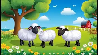 Хорек становится учителем музыки
