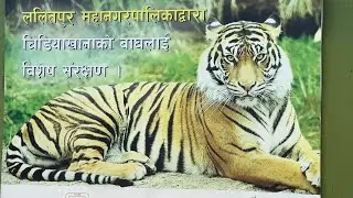 Central Zoo Kathmandu Nepal | Visiting Places in Nepal | Nepal Central Zoo Ticket Price