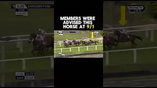 👆LINK IN BIO FOR TOMORROW&rsquo;S FREE TIPS! #horseracing #freetips #winner #explore