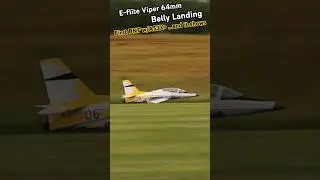 NEW! E-Flite Viper 64mm w/AS3X+ Belly Landing! #new #aviation #rc