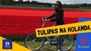 🇳🇱CAMPOS de TULIPAS na HOLANDA | VIAGEM com muitas FLORES