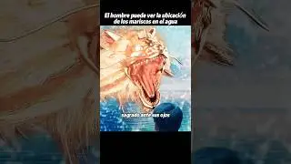 El hombre puede ver la ubicaci&oacute;n de los mariscos en el agua #drama