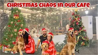 Christmas VLOG: Cafe me itni bheed ki saas lene ka time nahi mila!  #akashandaarushisdiary