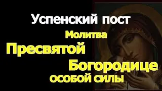 Успенский пост. Молитва Пресвятой Богородице ОСОБОЙ СИЛЫ на исцеление, помощь и защиту