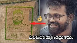 Director Sukumar Paddy Farming Art Video Song| Pushpa 2 ( The Rule ) | Director Sukumar Latest Video