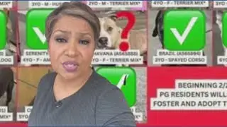Urgent Call from Prince George&rsquo;s County Animal Shelter