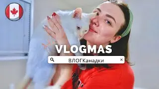 🤯 Мигрени от такой погоды! X-mas party на работе/ готовлю угощение