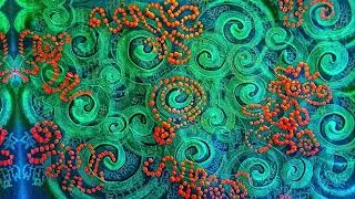 DNA Activation & Cellular Soul Remembrance with Light Code Transmission