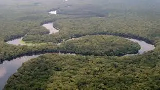 Salonga National Park | Wikipedia audio article