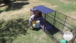 Vault Dog Food & Water Dispencer Attached to the outside of Dog Run