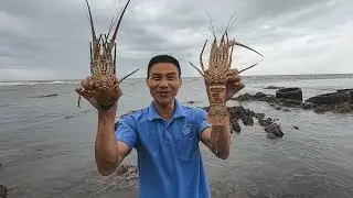 大浪将海里大货冲上岸，大叔连抓两只锦绣龙虾，激动的大叫发财了