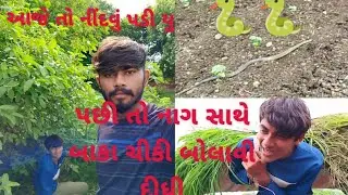 Newvlog comedy🤣 @jayesh.j.d.s.8494