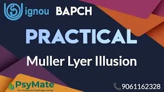 IGNOU BAPCH | Practical | 1st Year | BPCC 101 Practicumm | PsyMate | Muller lyer Illusion