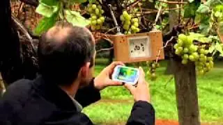 Intel Future Vision Video