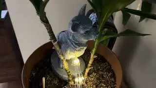 Why this VOFSTAND dog garden statue gets a lot of looks