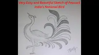 Best and Beautiful Sketch of India's National Bird Peacock Very Easy
