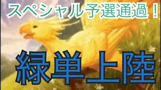 【MTGアリーナBO3対戦】【スタンダード】緑単上陸でスペシャル予選抜けたぞぉぉぁぉ！！