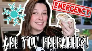 Power Outages & Reptiles // Preparing for Winter Emergencies!