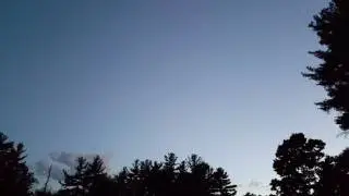 Bats at night