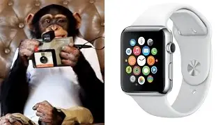 Apple Watch, Google Glass & Other Wearables Big Tech Wants You to Want