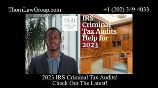 2024 Ultimate Guide to IRS Tax Audits!