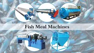 Fish Meal Machine Plant | Small Fish Meal Processing Projects with High Efficiency in 2021