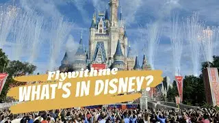 What's in Disneyland in 2022 ?    [ Orlando theme parks ]   [ Rides ]