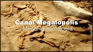 CHILE (Dinosaurios de Magallanes)  -  Documentales