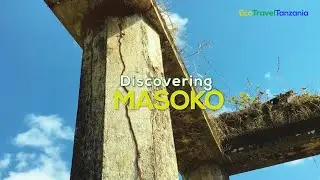 Eco Travel Tanzania : Discovering MASOKO, Rungwe, Mbeya, Tanzania