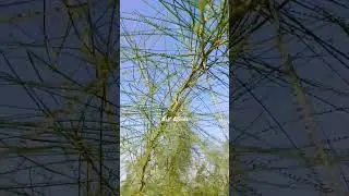 #best #pushtobayan #trending د نبی علیہ السلام مدینہ منورہ تہ ہجرت واقعہ