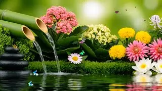 Calming Piano Music with Soothing Water Sounds🌿Relax, Sleep, Meditation Stress Relief