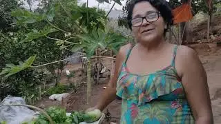 fomos leva uma cesta de verduras para uma seguidora