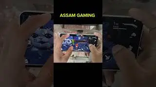 #assam gaming
