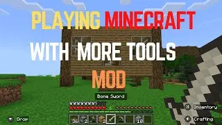 Playing minecraft with more tools mod