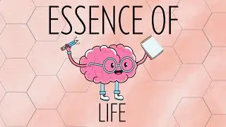 Nature of Knowledge | Essence of Life