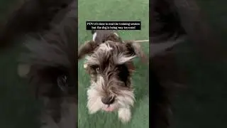This dog is just too cute!! 🥺
