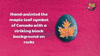 Hand-painted the maple leaf symbol of Canada with a striking black background on rocks| Maple Leaves