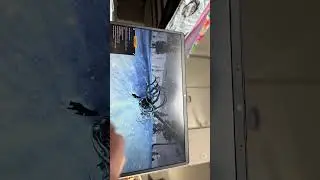 wolf quest as a beginner