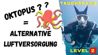 Oktopus - des Tauchers bester Buddy ? oder die alternative Luftversorgung !