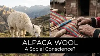 Alpaca Wool: Luxury with a Social Conscience?