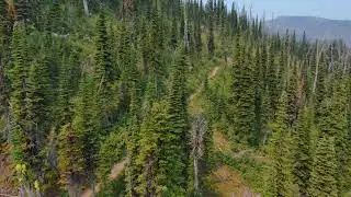 Montana Singletrack Dirtbike Tour Shredding the Skinny with Flathead Outdoors