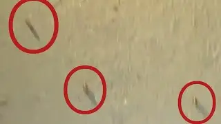 ਪਿੰਡ ਲੱਖਣ ਕਲਾਂ ਚ ਚੱਲੀਆਂ ਗੋਲੀਆਂ | 